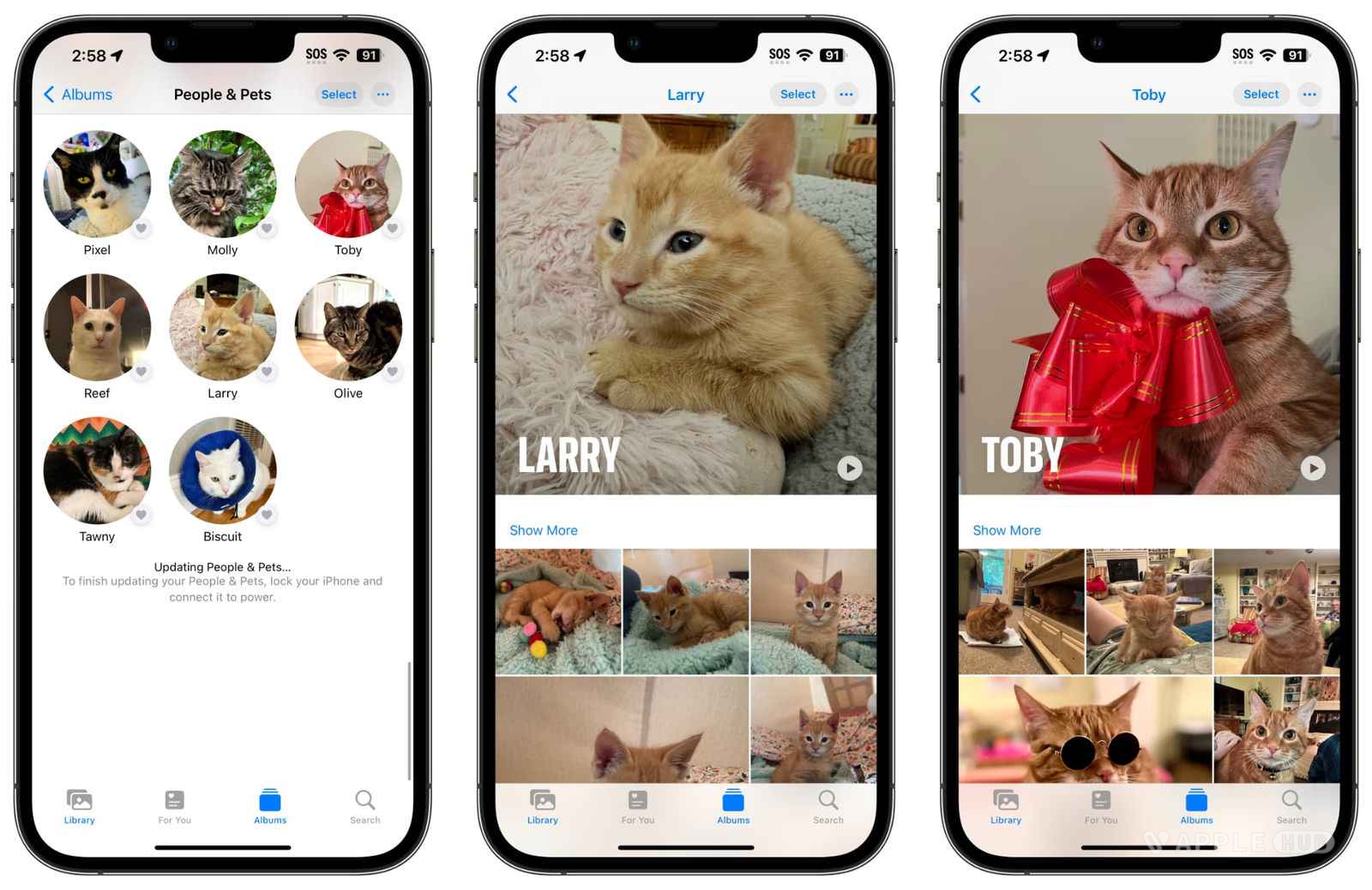 iOS 17改进了iPhone的图像识别能力 可以识别宠物了-Applehub-心动论坛